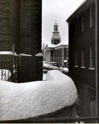 Long Hall in the Snow