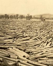 Cribs (in background) in Susquehanna River which held the logs during the height of the lumber era