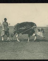 Postcard of man farming