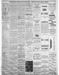 Journal American 1869-07-21