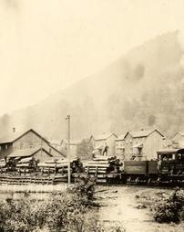 Train transporting logs