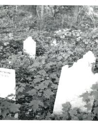 Pawlings Cemetery, 2