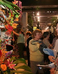 2011 Philadelphia Flower Show. AIFD Exhibit
