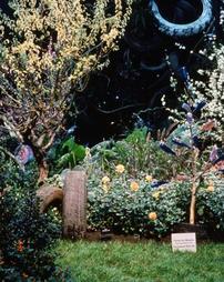 1997 Philadelphia Flower Show. J. Franklin Styer Nurseries Exhibit