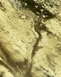 Close up of Oswego sandstone