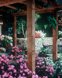 1987 Philadelphia Flower Show. R.W. Montgomery Landscape Nursery