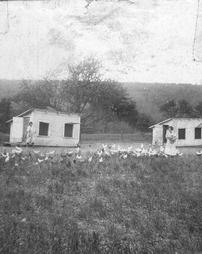 Chicken houses at the State Industrial Home for Women at Muncy, PA.