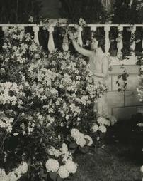 1929 Philadelphia Flower Show. Burpee Garden Exhibit