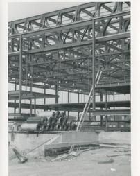 Steel frame and latter
