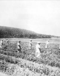 Inmates working in the fields of the State Industrial Home for Women at Muncy, PA