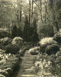 Unidentified Garden