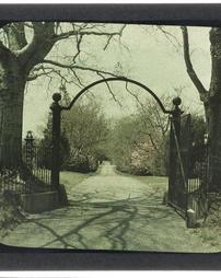 [Driveway and Gate]