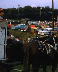Horse-drawn carriage at Peters Township Free Farm Show and Horse Fair, 1956.