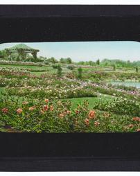 [ZW2] Hershey Rose Garden June 6/22/40