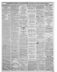 Journal American 1866-05-02