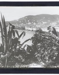 France. Cannes. Vista of Cannes through the Aloes
