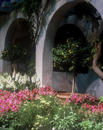 1994 Philadelphia Flower Show. R.W. Montgomery Landscape Nursery
