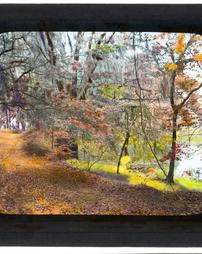 United States [Unidentified Road Covered by Leaves Near Water]