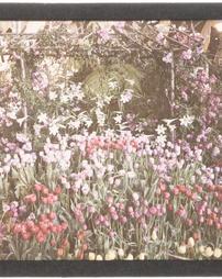 [Floral Display with Tulips, Lilies, and Pergola]
