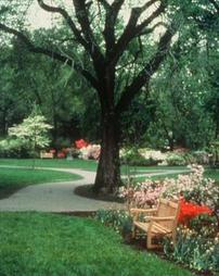 Azalea Garden.  [1988-]