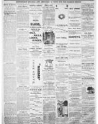 Journal American 1869-11-17