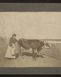 Anonymous woman with cow