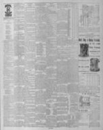 Pittston Gazette 1889-07-05