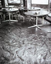 Wilkes College - Dining Hall POST Hurricane Agnes Flood
