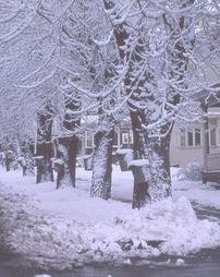 Meyers Avenue in Snow