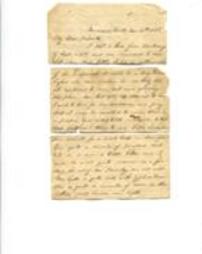 Davis Family Letters (to relatives other than Guyan Davis's wife)