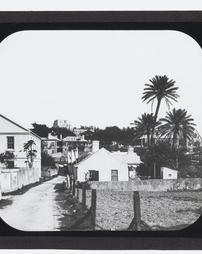 Bermuda Islands. Street view With Palm trees