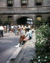 City Hall Courtyard. Green Thumb 4-H Club. 1961