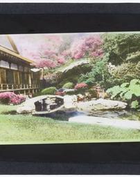 Japan. [Japanese garden]