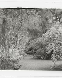 [Garden View with Body of Water and Bridge]
