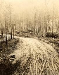 New road constructed by CCC (Civilian Conservation Corps), near Gray's Run, 1934