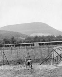 Pheasant pen at Lycoming County Game Farm, June 1935