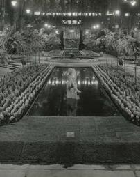 1935 Philadelphia Flower Show. Central Feature with Widener Acacia Collection and Hyacinths