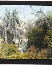 United States. South Carolina. [Unidentified Creek and Trees]