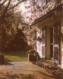Unidentified House and Garden. Wisteria