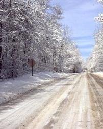 Snow-covered Road Flanked by Trees