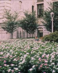 Philadelphia Green. City Hall in Bloom, [1992-]