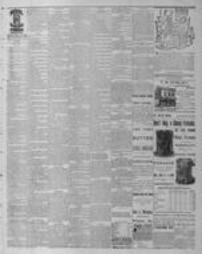 Pittston Gazette 1889-08-02