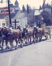 Clydesdale Teams Pull Yellow Wagon in Parade
