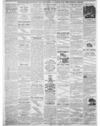 Journal American 1868-07-01