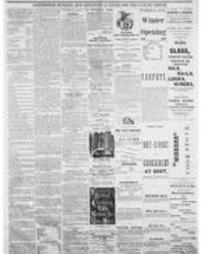 Journal American 1869-03-17