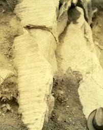 Ripple marks, Tuscarora sandstone