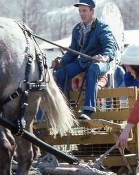 Man on Yellow Wagon Pulled by Horses