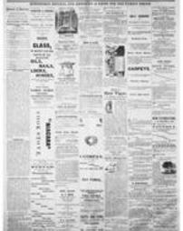 Journal American 1869-11-10