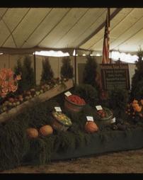 Harvest Show. National Farm School Exhibit, 1943