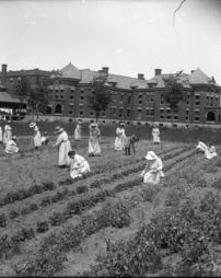 516, Women in Garden Behind Terrace, War Garden, 1918 Report, 8x10